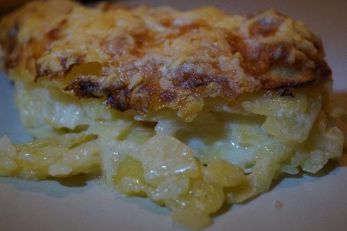 Potato Gratin picture