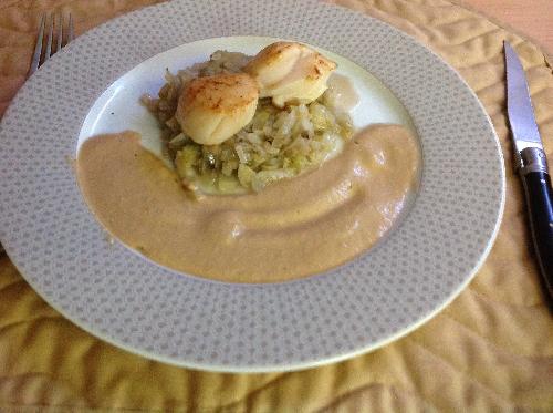 Scallops with Chicory leaves picture